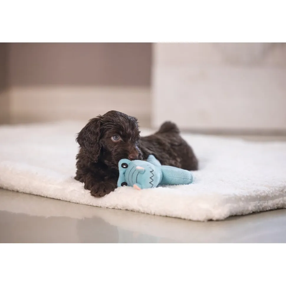 Beeztees Puppy Rammelaar