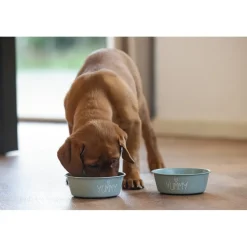 Beeztees Puppy Snoes - Hondenvoerbak
