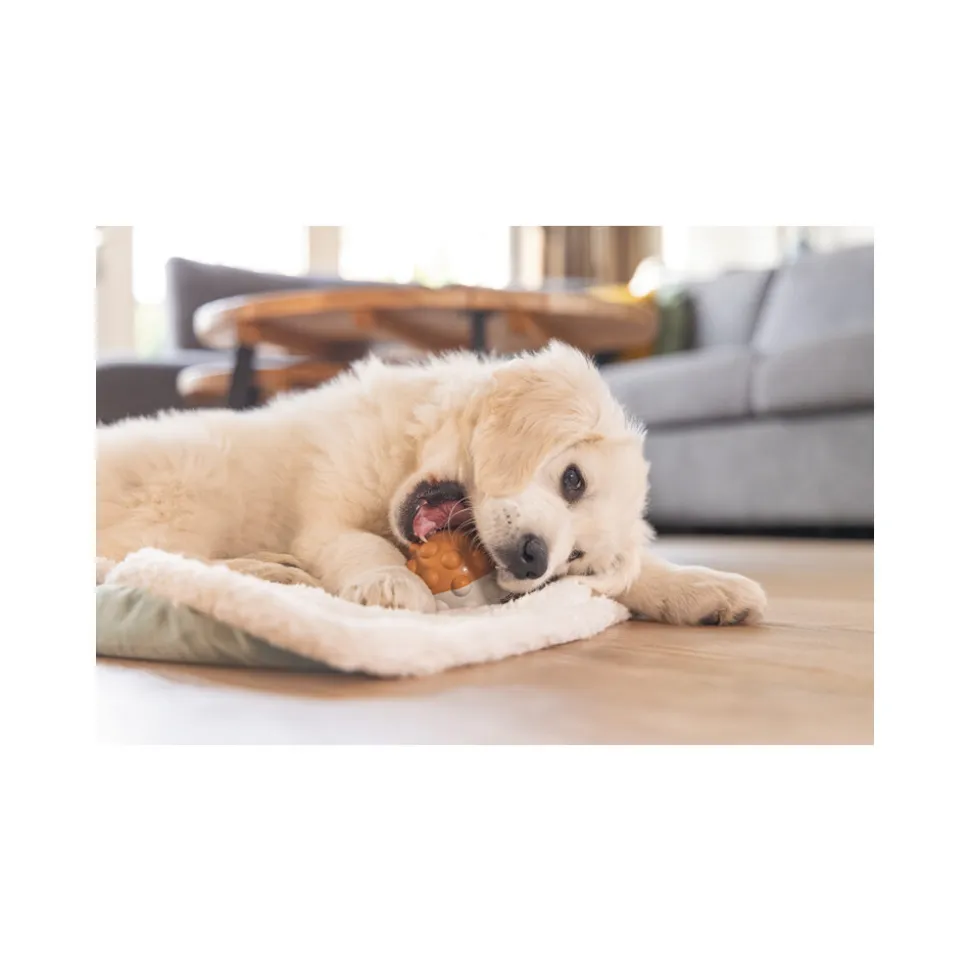 Beeztees Puppy Speelbal Denise