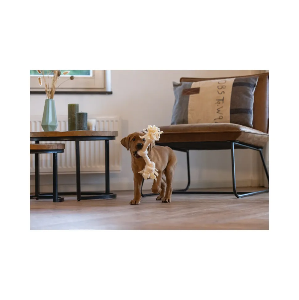 Beeztees Puppy Speeltouw Pim