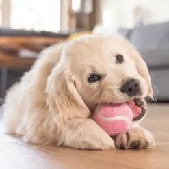 Beeztees Puppy Tennisballen