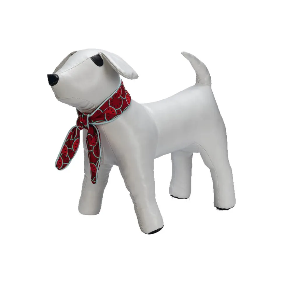 Beeztees Quick Cooler Meloenie Koelband