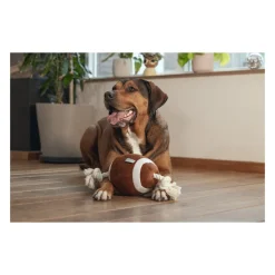 Beeztees Rugbybal met Touw