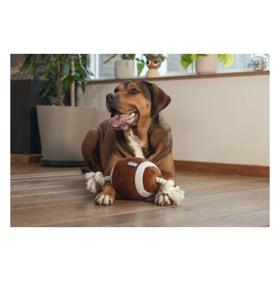 Beeztees Rugbybal met Touw