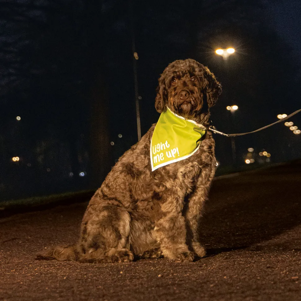 Beeztees Safety Gear Bandana Chiny