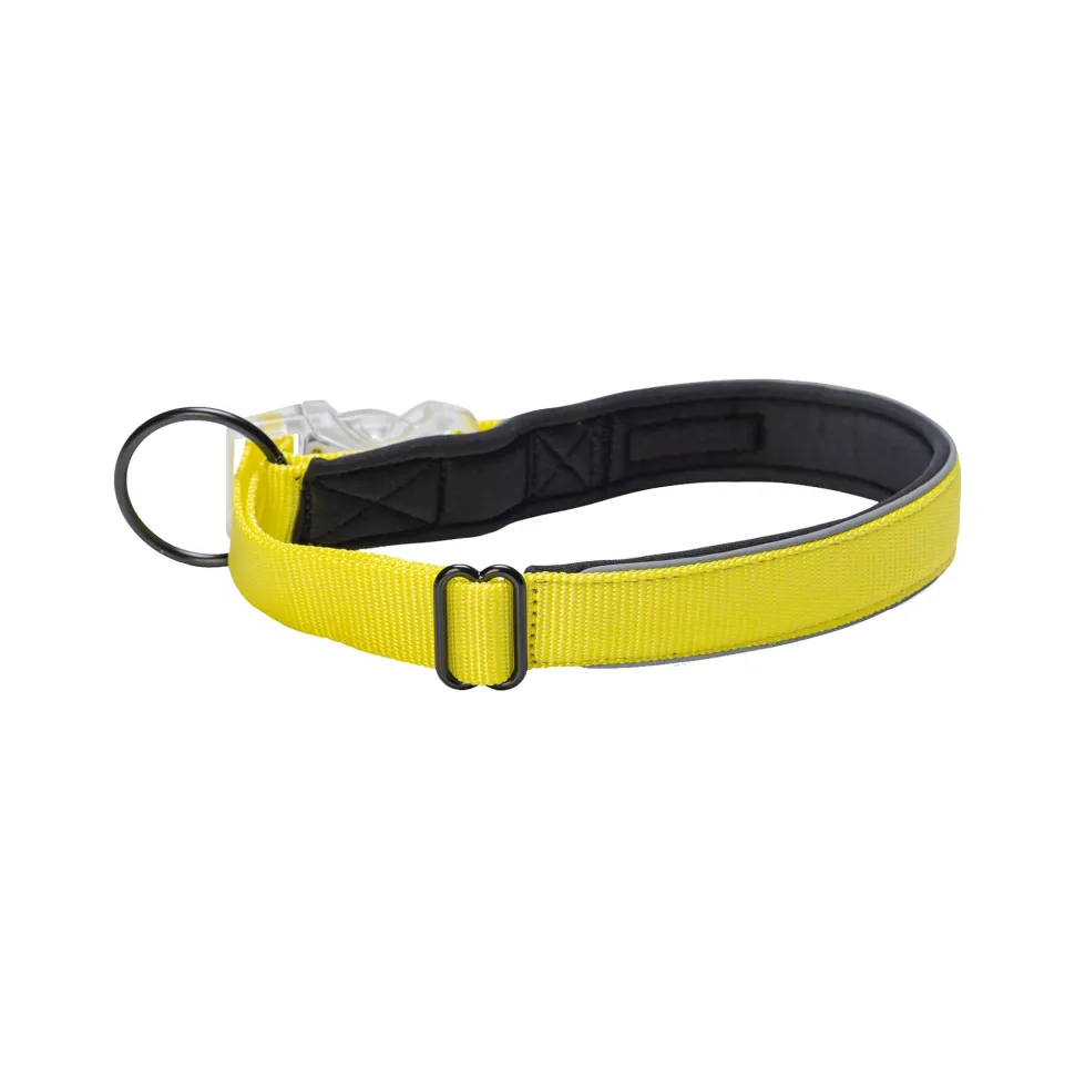 Beeztees Safety Gear Parinca Premium Halsband