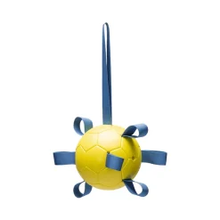 Beeztees Speelbal Power