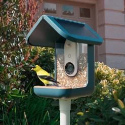Bird Buddy Smart Bird Feeder