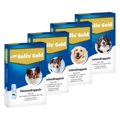 Bolfo Gold Hond