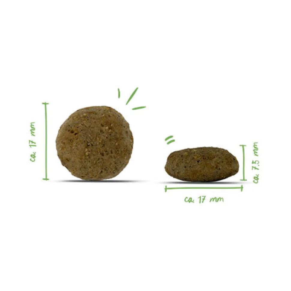 Bosch HPC Vegan Adult Hondenvoer - Aardappel & Erwt