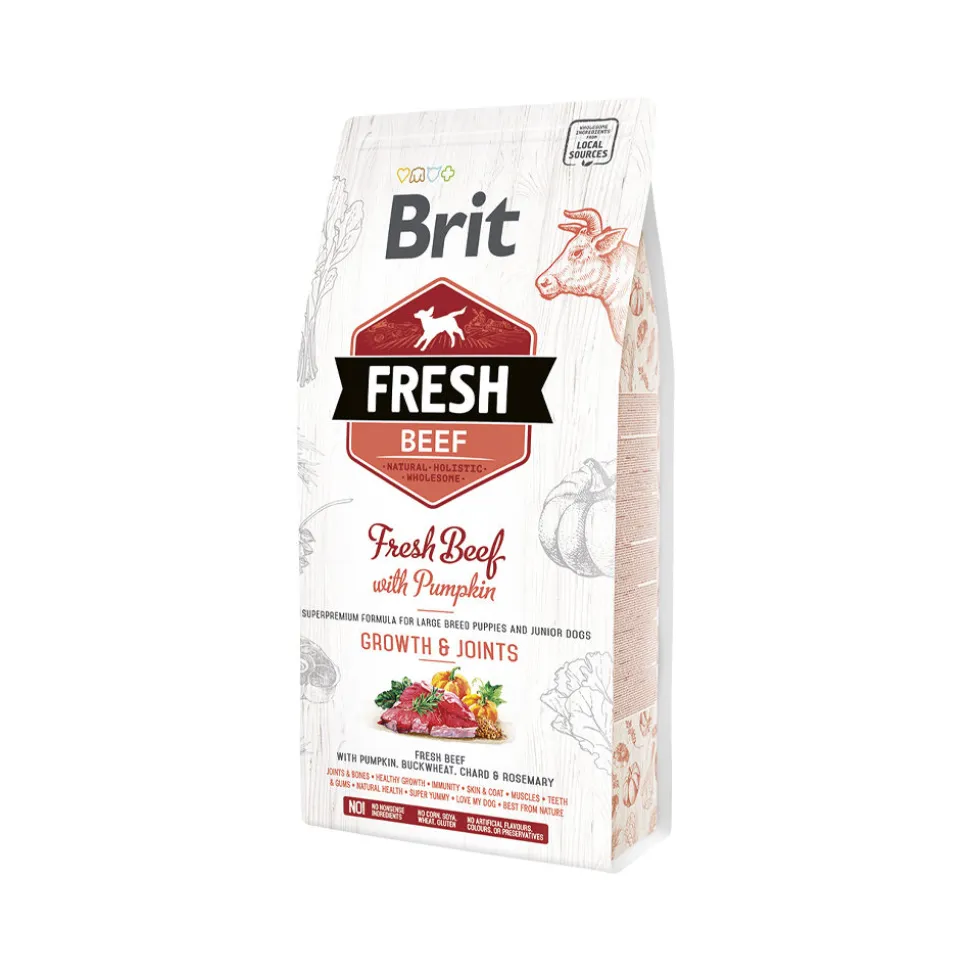 Brit Fresh Beef with Pumpkin - Puppy Large