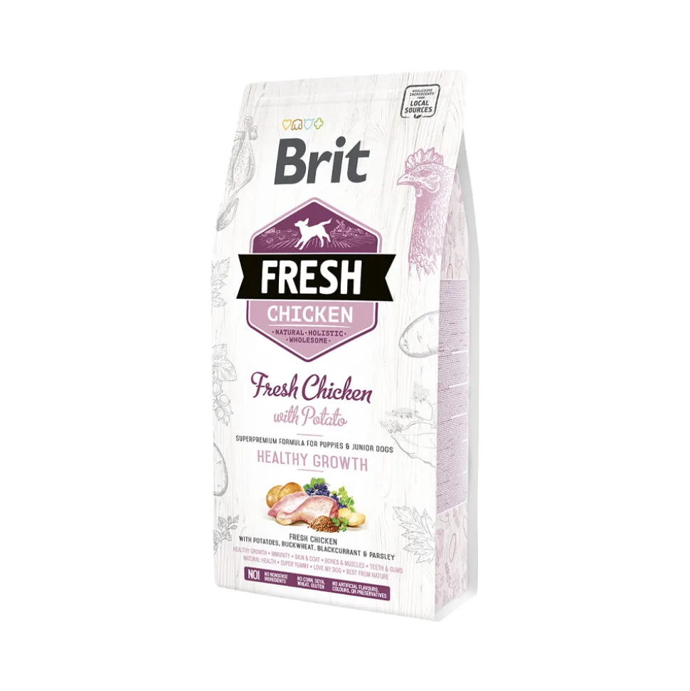 Brit Fresh Chicken with Potato - Puppy