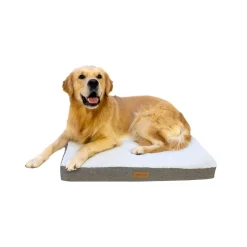 Buckz Orthopedisch Hondenkussen Bo