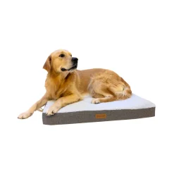 Buckz Orthopedisch Hondenkussen Bo
