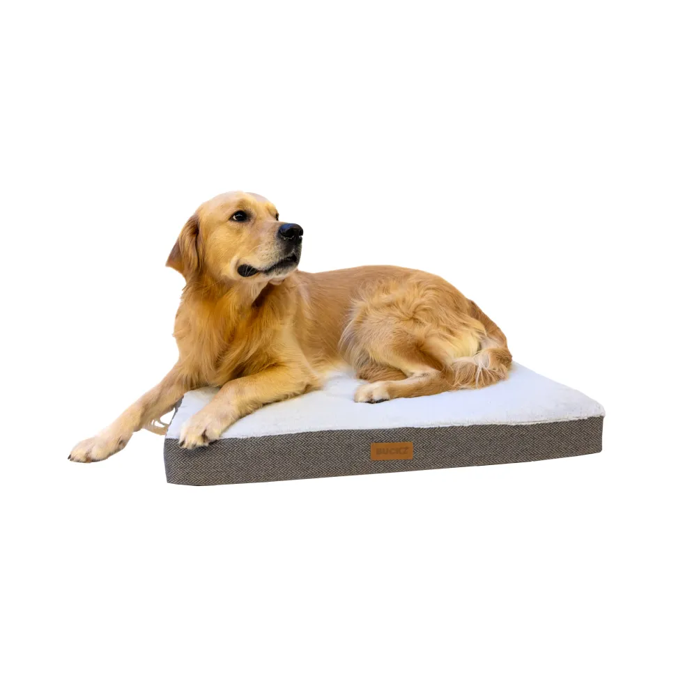 Buckz Orthopedisch Hondenkussen Bo