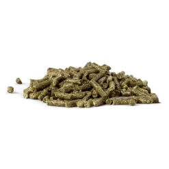 Bunny Nature - goVet IMMUNOplex