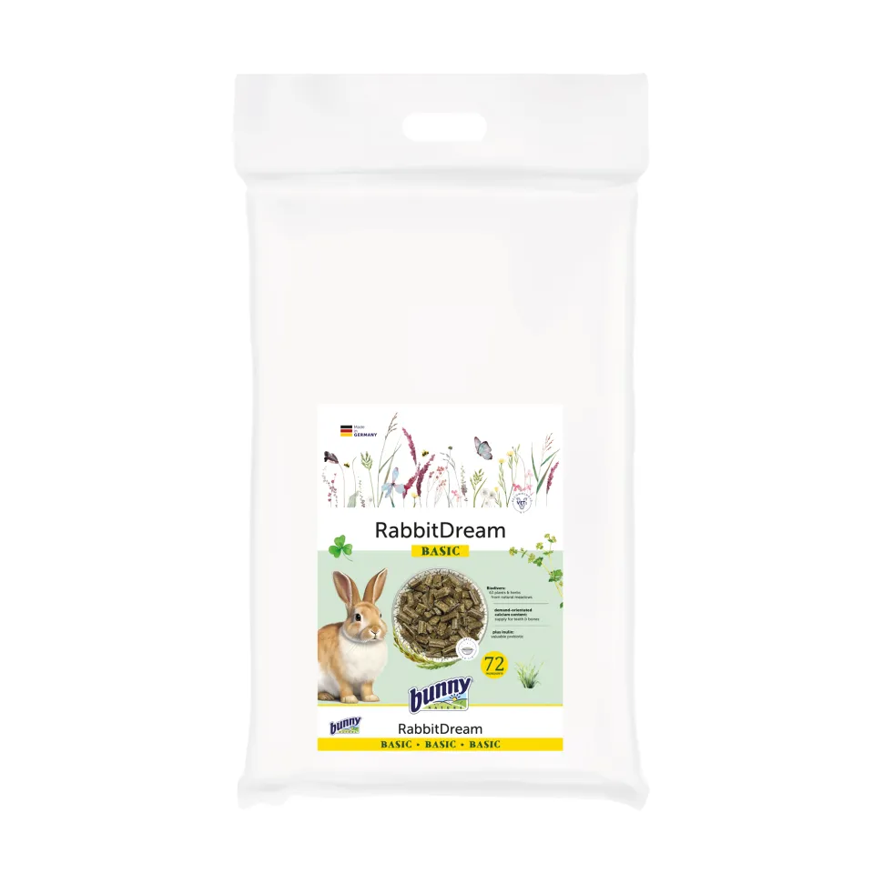 Bunny Nature Rabbit Dream Basic
