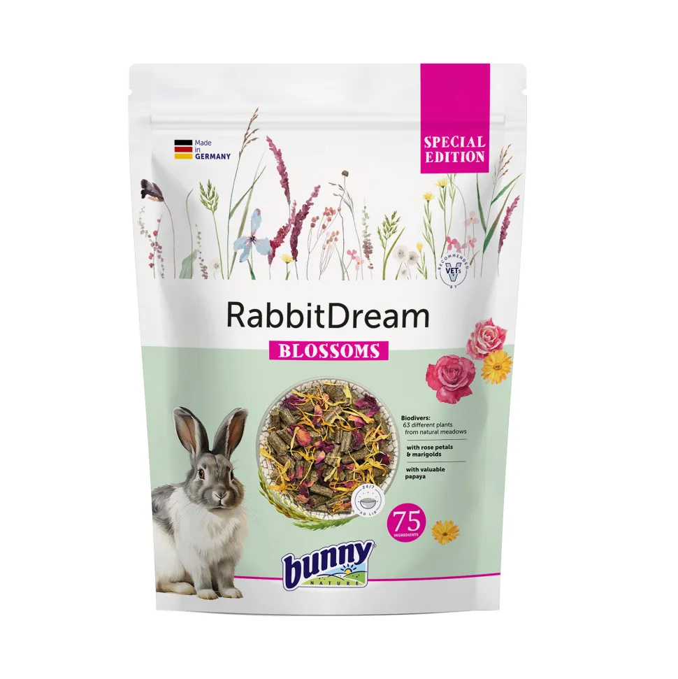 Bunny Nature Rabbit Dream Blossoms