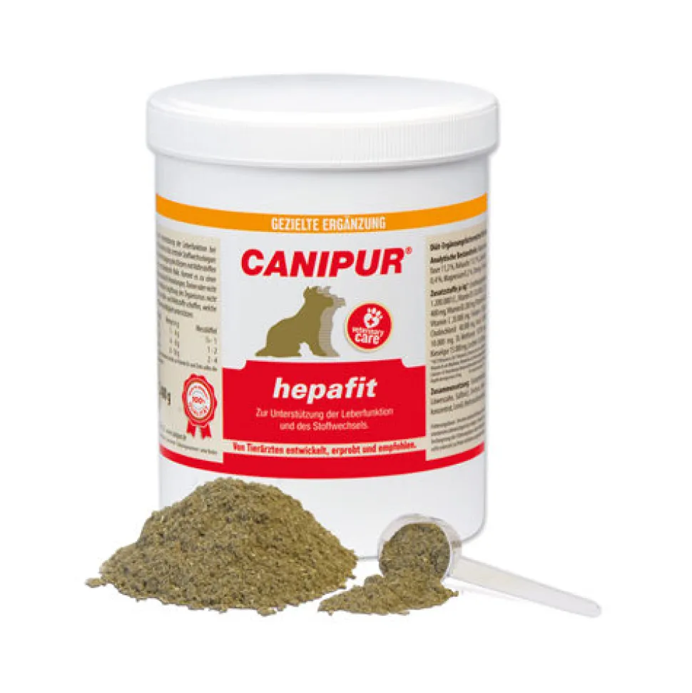 Canipur Hepafit