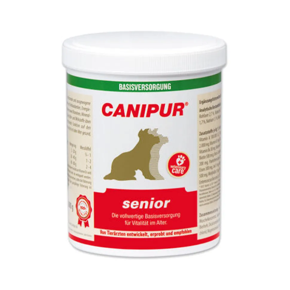Canipur Senior