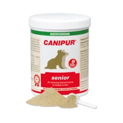 Canipur Senior