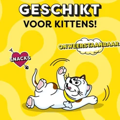 Catisfactions Kattensnoepjes
