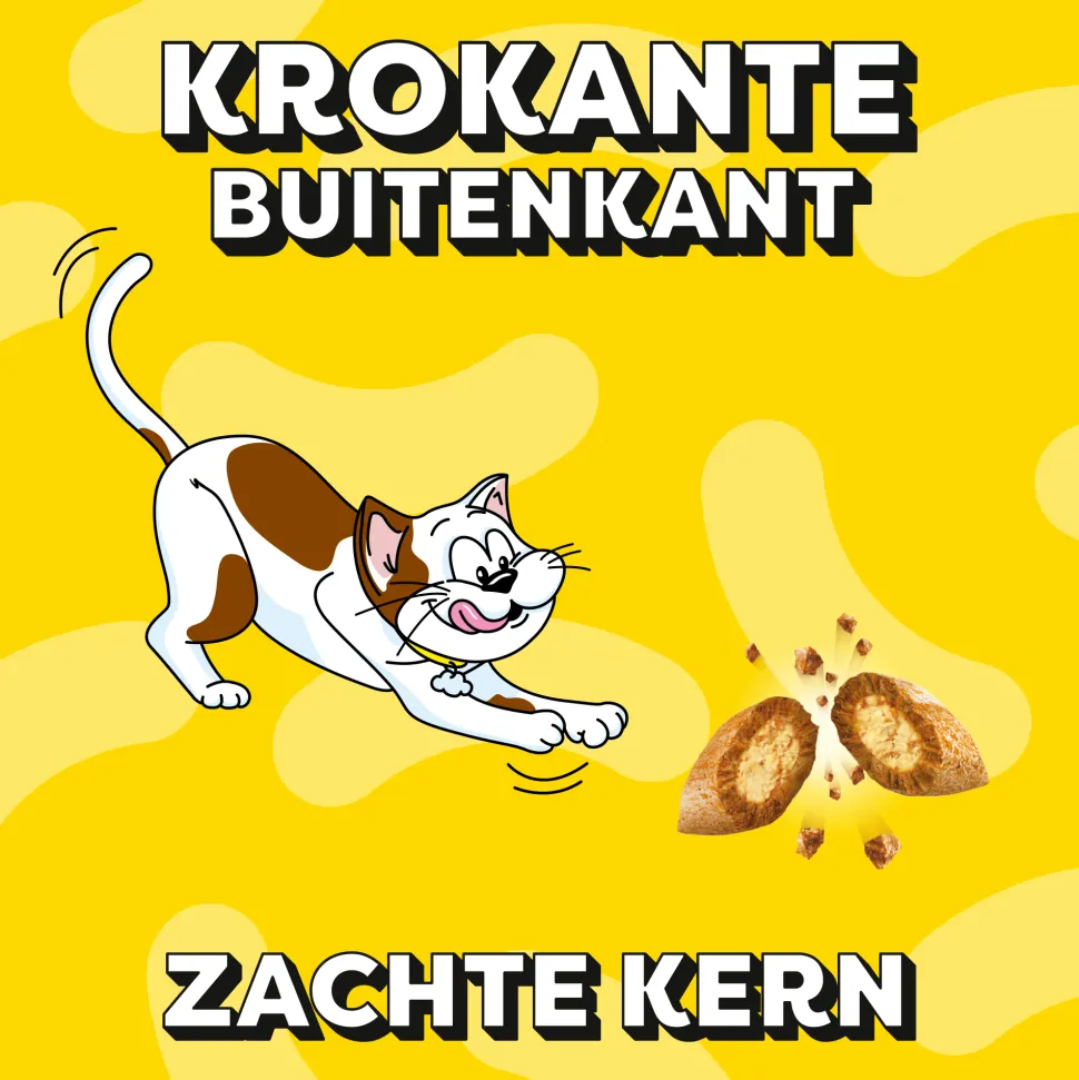 Catisfactions Kattensnoepjes