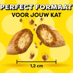 Catisfactions Kattensnoepjes