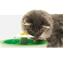 Catit Senses 2.0 Flower Fountain