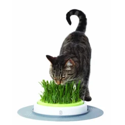 Catit Senses Grass Garden