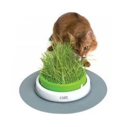 Catit Senses 2.0 Grass Planter