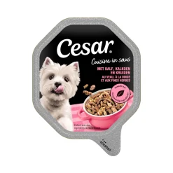 Cesar Cuisine in Saus