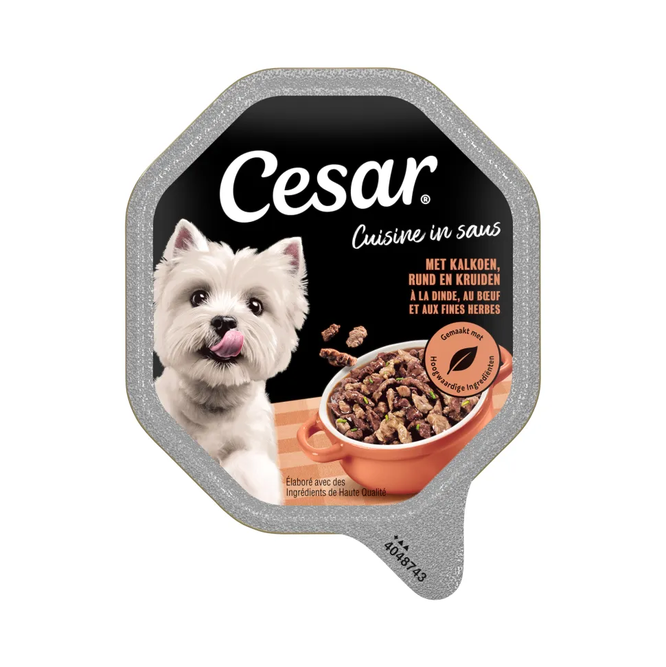 Cesar Cuisine in Saus