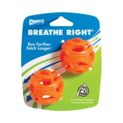 Chuckit! Breathe Right Fetch Ball