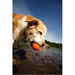Chuckit! Ultra Ball