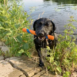 Chuckit! Ultra Fetch Stick