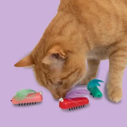 Coockoo Bug Me Not Kattenspeeltje