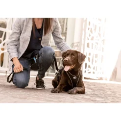 Curli Adjustable Leash Nylon