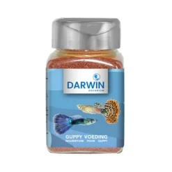 Darwin Guppy Voeding