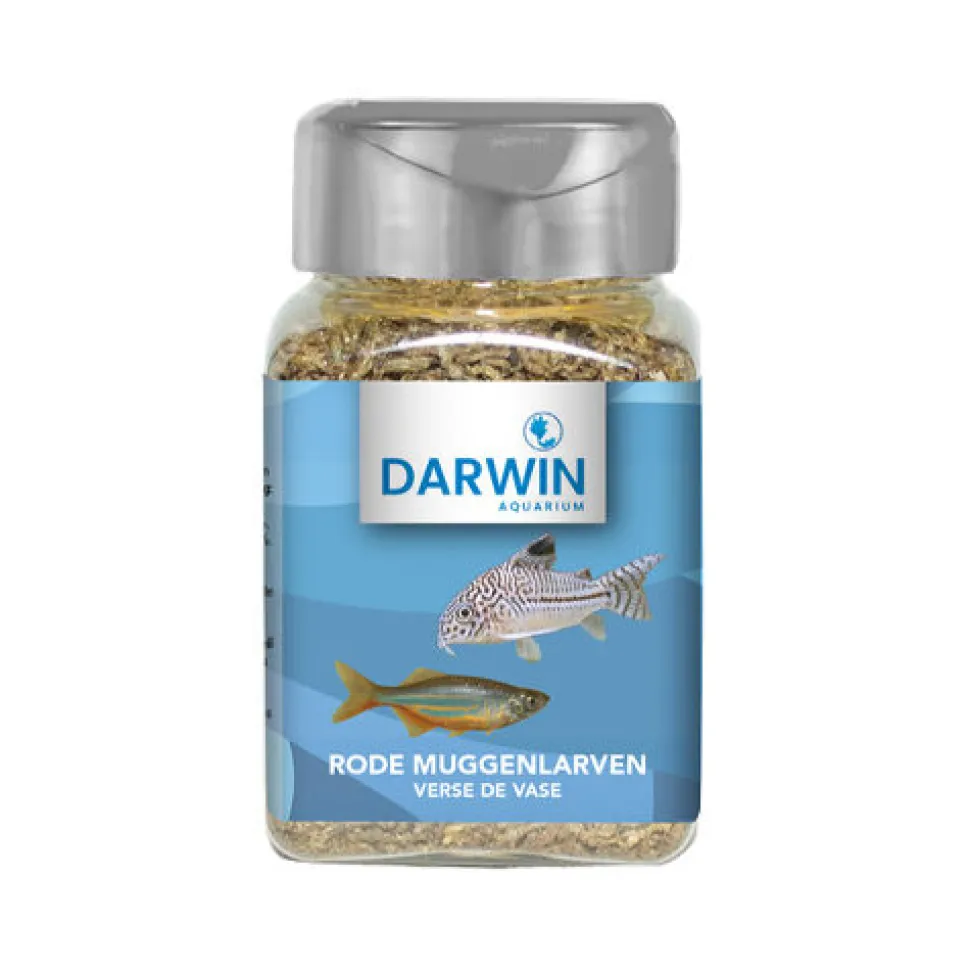 Darwin Rode muggenlarven