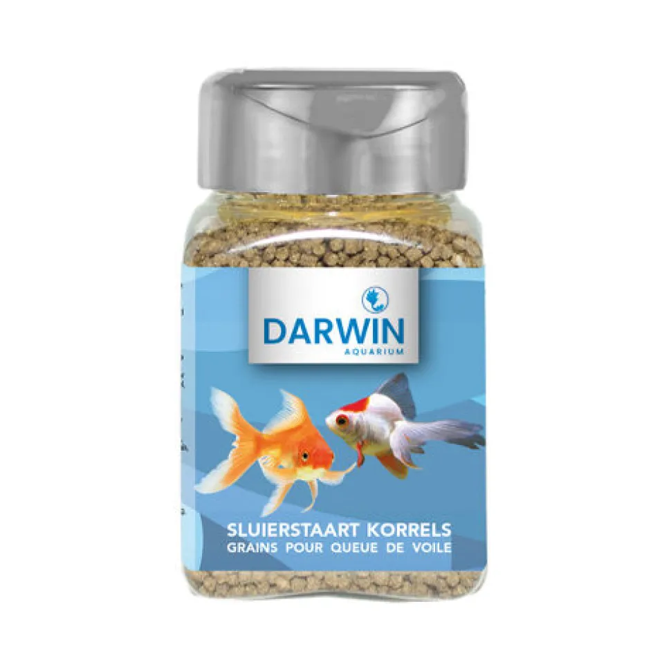 Darwin Sluierstaart Korrels