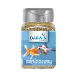 Darwin Sluierstaart Korrels