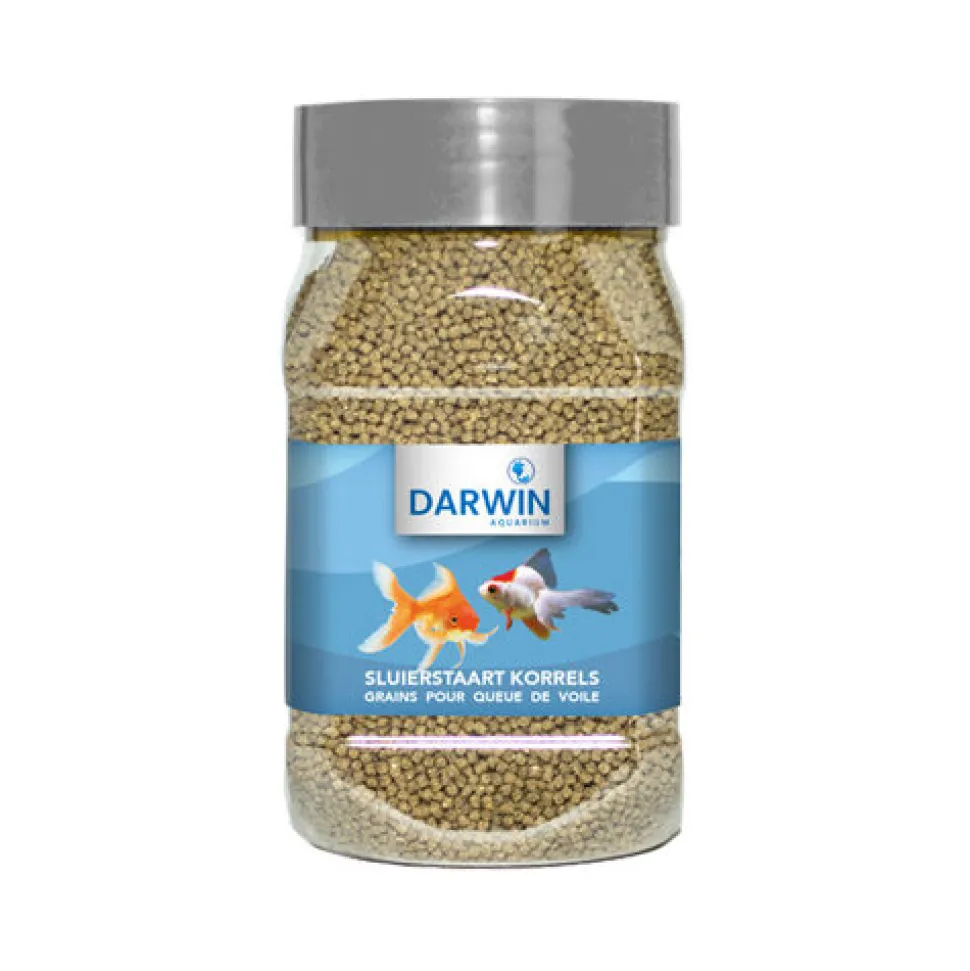 Darwin Sluierstaart Korrels