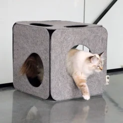 D&D Nala Vilten Speelkubus