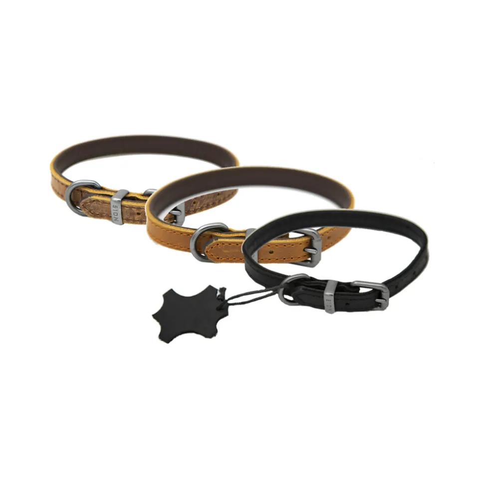 51 Degrees North Milano Collar