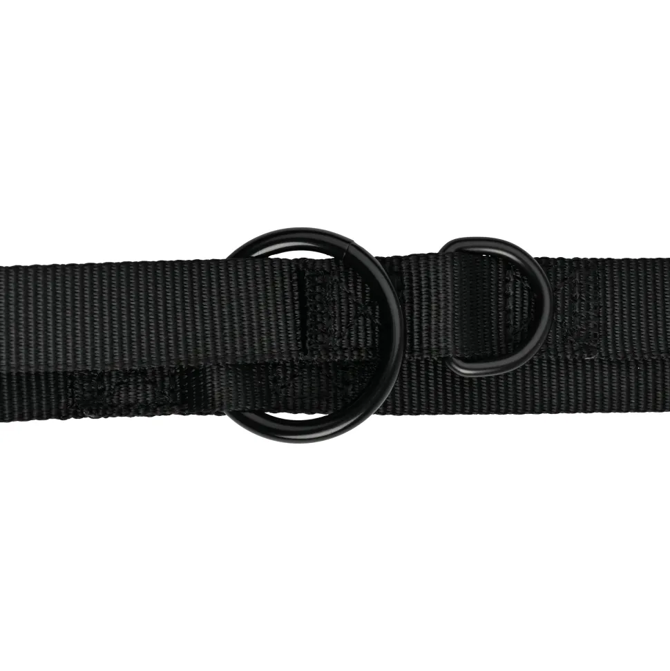 51 Degrees North Wanderful Training Leash