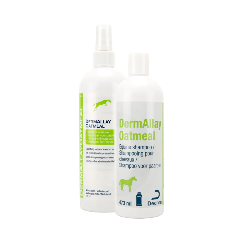 DermAllay Shampoo