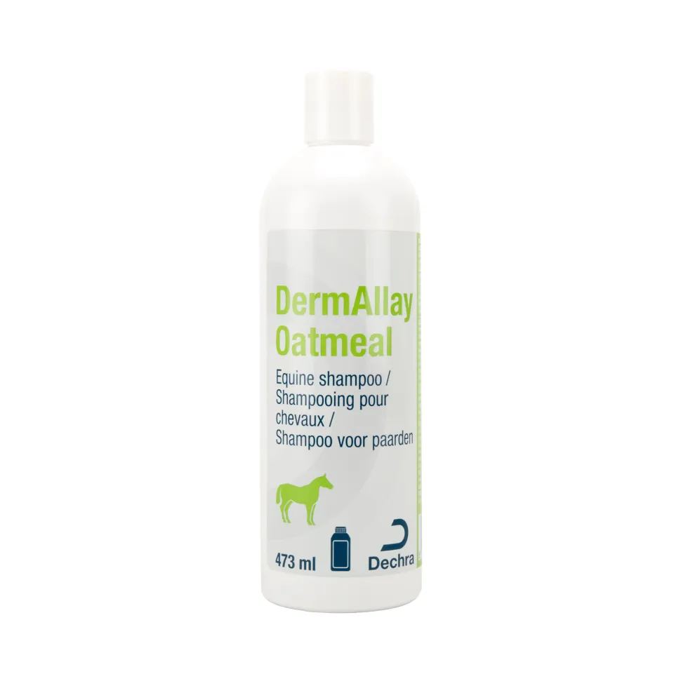 DermAllay Shampoo