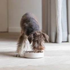 Designed by Lotte Bamboo Anti-Schrokbak Pom - Hond