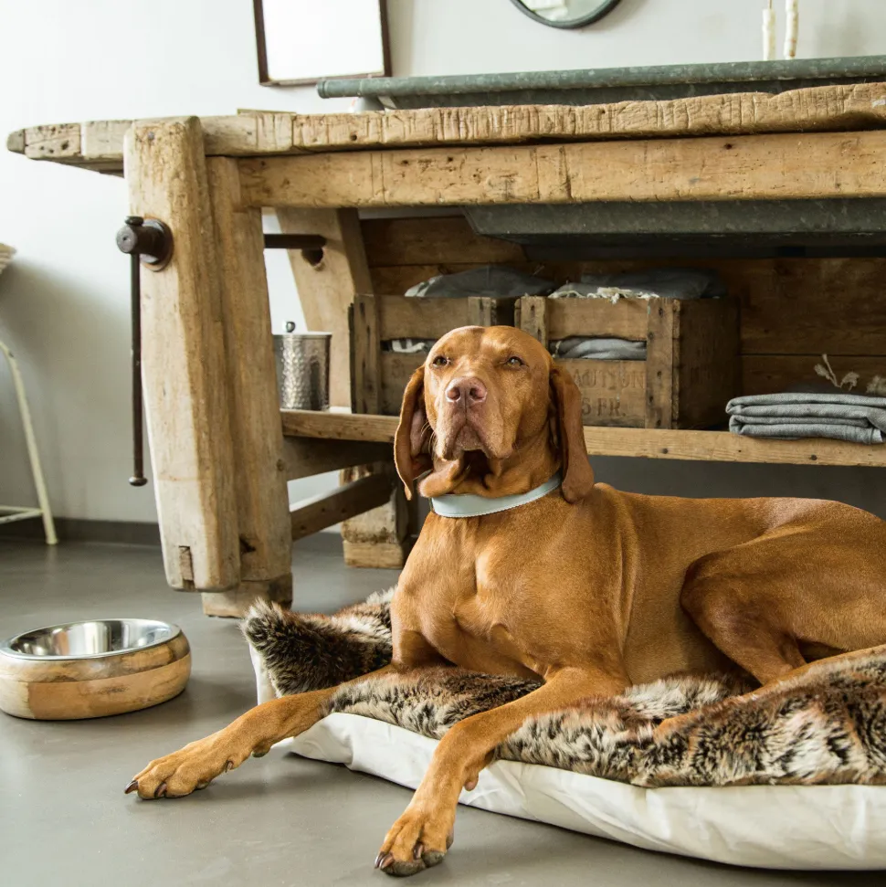 Designed by Lotte Houten Eet- en Drinkbak Mandira